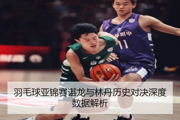 羽毛球亚锦赛谌龙与林丹历史对决深度数据解析